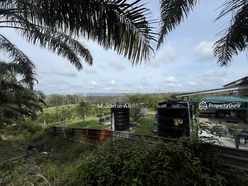 Tanah Pertanian untuk Dijual di Kampung Rahmat (Kluang) - M Jamil Ali - PropertyGuru.com.my