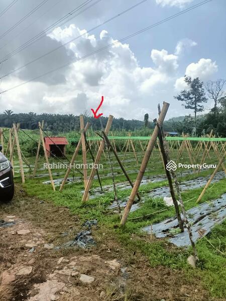 Untuk Dijual - Ulu Yam Industrial Park