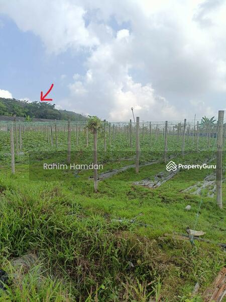 Untuk Dijual - Ulu Yam Industrial Park