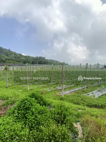 Untuk Dijual - Ulu Yam Industrial Park