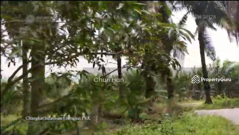 Agricultural Land for Sale in Tapah (Perak) - Chun Han - PropertyGuru.com.my