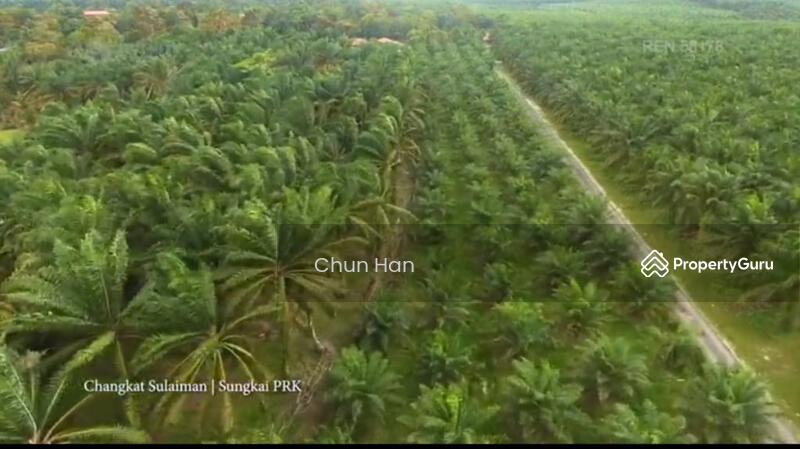Agricultural Land for Sale in Tapah (Perak) - Chun Han - PropertyGuru.com.my