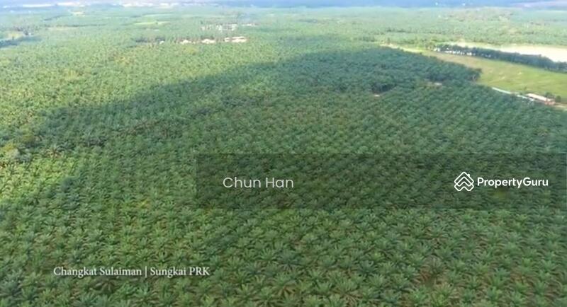 Agricultural Land for Sale in Tapah (Perak) - Chun Han - PropertyGuru.com.my