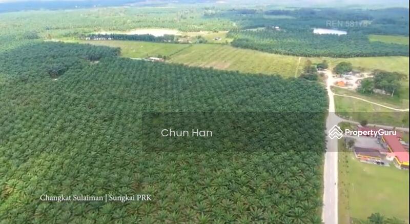 Agricultural Land for Sale in Tapah (Perak) - Chun Han - PropertyGuru.com.my