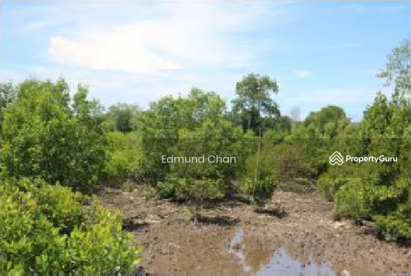 Tanah Perindustrian untuk Dijual di Bandar Sultan Suleiman (Port Klang (Pelabuhan Klang)) - Edmund Chan - PropertyGuru.com.my