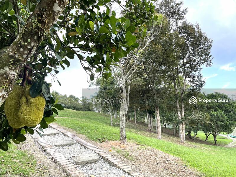 Residential Land for Sale in Leisure Farm (Gelang Patah) - Poreen Tan - PropertyGuru.com.my