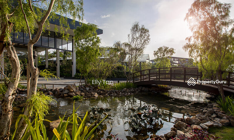 For Rent - Bamboo Hills