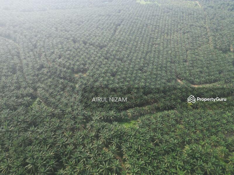 Agricultural Land for Sale in Kota Tinggi (Johor) - AIRUL NIZAM - PropertyGuru.com.my