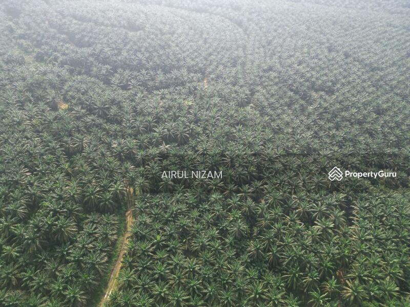 Agricultural Land for Sale in Kota Tinggi (Johor) - AIRUL NIZAM - PropertyGuru.com.my