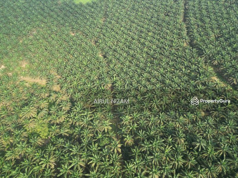 Agricultural Land for Sale in Kota Tinggi (Johor) - AIRUL NIZAM - PropertyGuru.com.my