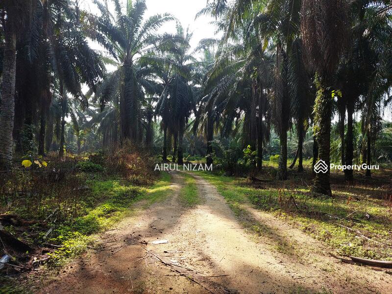 Agricultural Land for Sale in Kota Tinggi (Johor) - AIRUL NIZAM - PropertyGuru.com.my