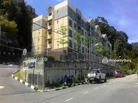 For Sale - SURIANA D'Royal Lily