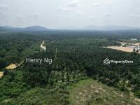 For Sale - Kuala Krai