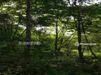 For Sale - Tanah Pokok Gaharu Bukit Selambau Kedah Untuk Dijual