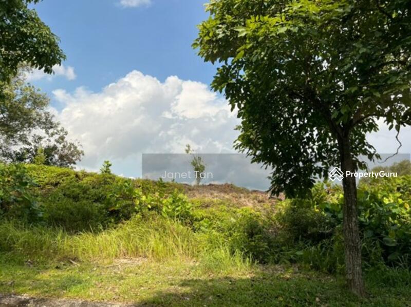 Tanah Kediaman untuk Dijual di Ledang Heights (Iskandar Puteri (Nusajaya)) - Janet Tan - PropertyGuru.com.my