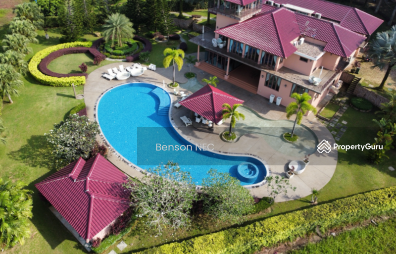 Drone View