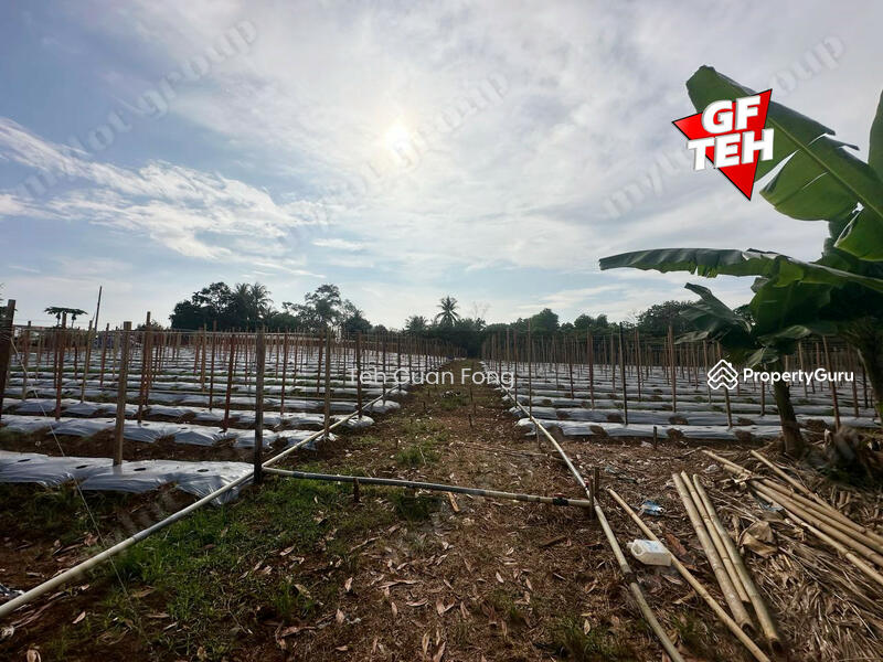 Tanah Pertanian untuk Dijual di Taman Aman Suria (Sungai Lalang) - Teh Guan Fong - PropertyGuru.com.my