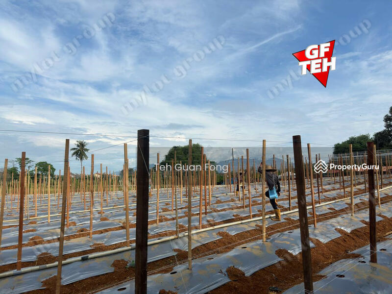 Tanah Pertanian untuk Dijual di Taman Aman Suria (Sungai Lalang) - Teh Guan Fong - PropertyGuru.com.my