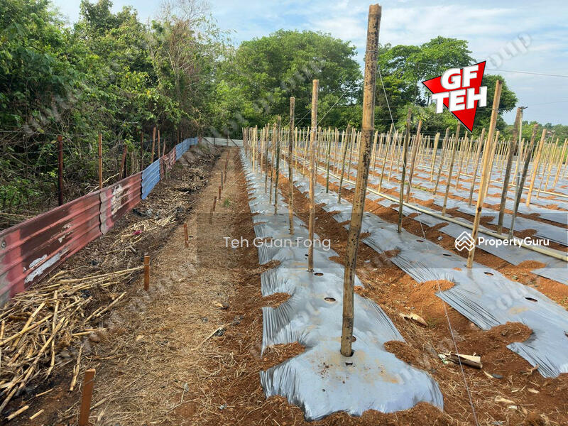 Tanah Pertanian untuk Dijual di Taman Aman Suria (Sungai Lalang) - Teh Guan Fong - PropertyGuru.com.my