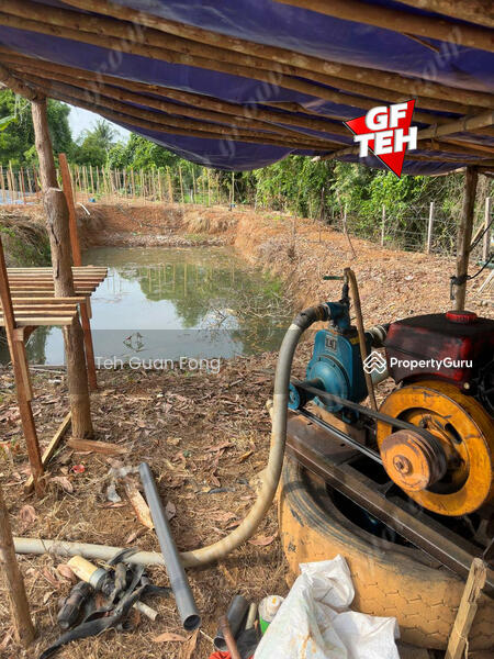 For Sale - 2 Acres | Agricultural land | Sungai Lalang | Kedah a