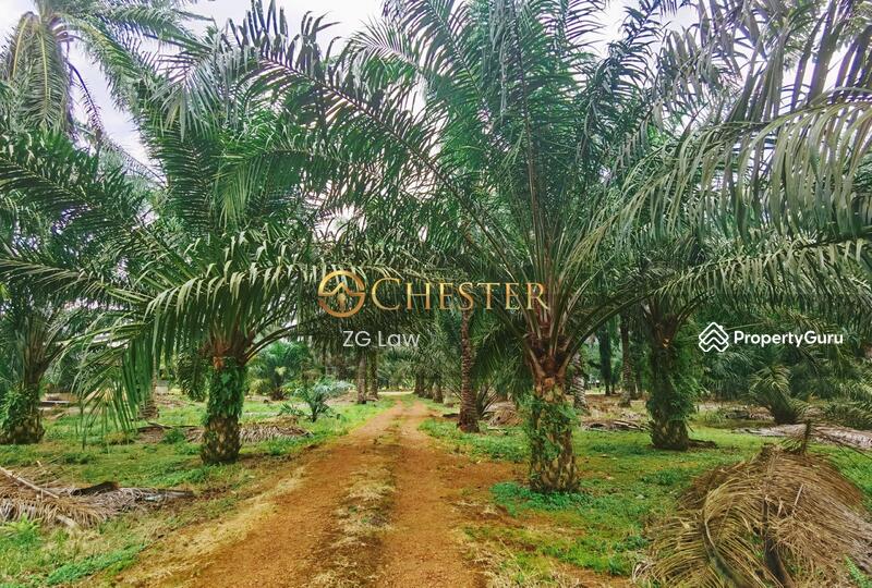 Agricultural Land for Sale in Batu Pahat (Johor) - ZG Law - PropertyGuru.com.my