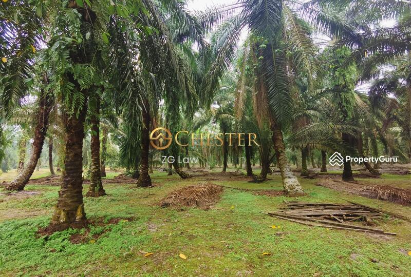 Agricultural Land for Sale in Batu Pahat (Johor) - ZG Law - PropertyGuru.com.my