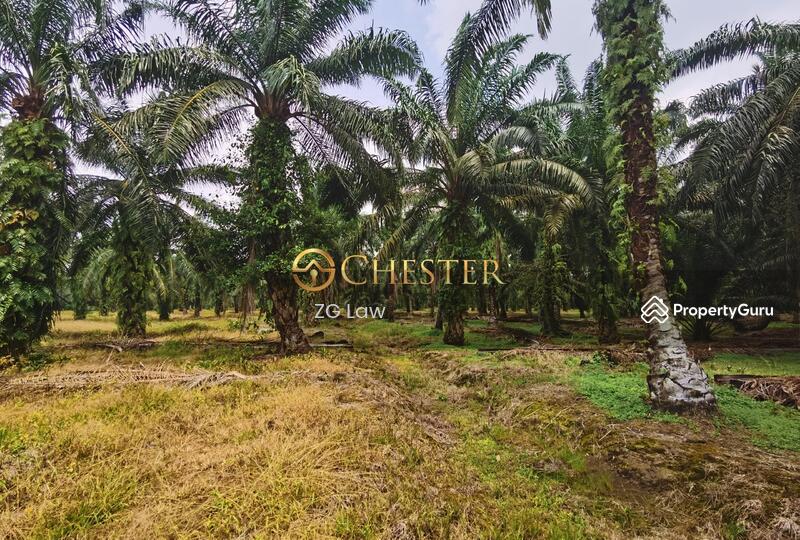Agricultural Land for Sale in Batu Pahat (Johor) - ZG Law - PropertyGuru.com.my