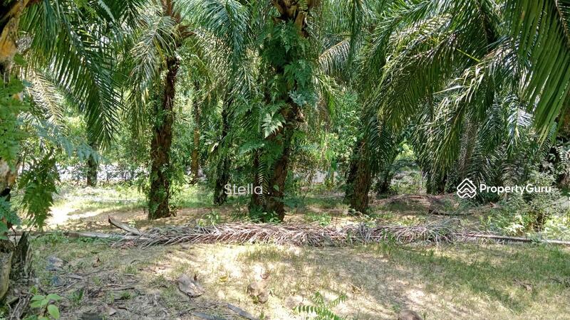 Tanah Pertanian untuk Dijual di Kuala Pilah (Negeri Sembilan) - Stella . - PropertyGuru.com.my