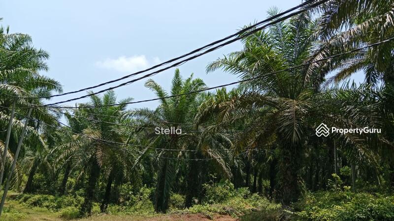 Tanah Pertanian untuk Dijual di Kuala Pilah (Negeri Sembilan) - Stella . - PropertyGuru.com.my