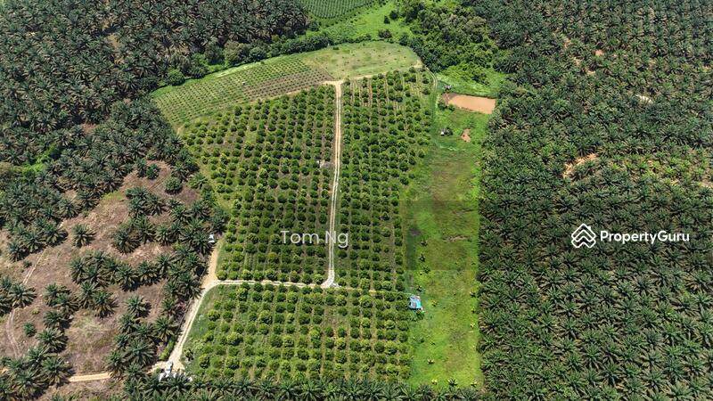 Jalan Kota Tinggi durian farm untuk Untuk Dijual - RM 5,040,000, Mac 2026 - PropertyGuru.com.my