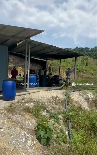 For Sale - Durian Tree Land for Sales/ N9@Kuala Pilah, Jempol/ 15 acres