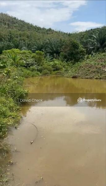 For Sale - Durian Tree Land for Sales/ N9@Kuala Pilah, Jempol/ 15 acres