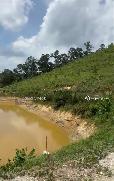 For Sale - Durian Tree Land for Sales/ N9@Kuala Pilah, Jempol/ 15 acres