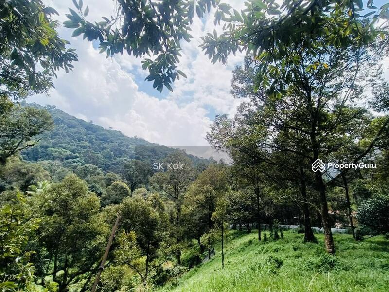 Agricultural Land for Sale in Gopeng (Perak) - SK Kok - PropertyGuru.com.my
