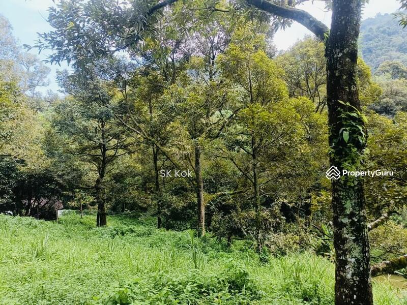 Agricultural Land for Sale in Gopeng (Perak) - SK Kok - PropertyGuru.com.my