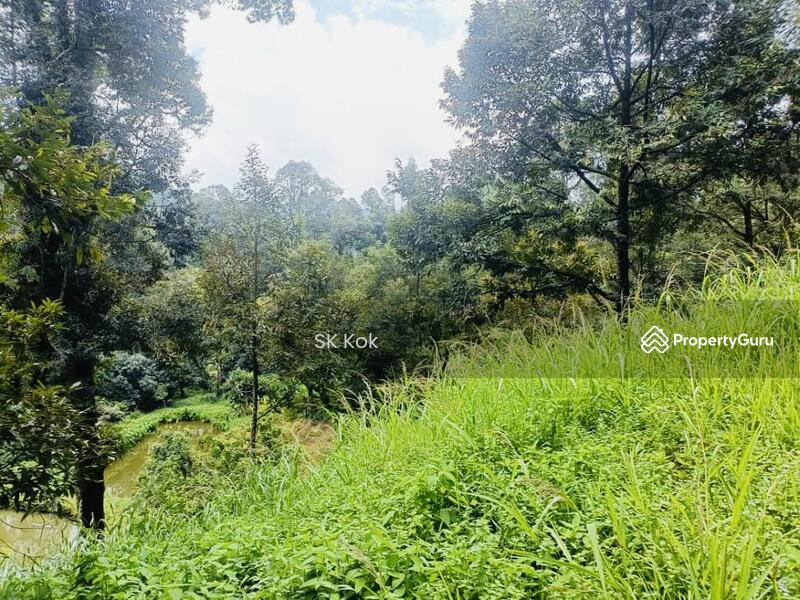 Agricultural Land for Sale in Gopeng (Perak) - SK Kok - PropertyGuru.com.my