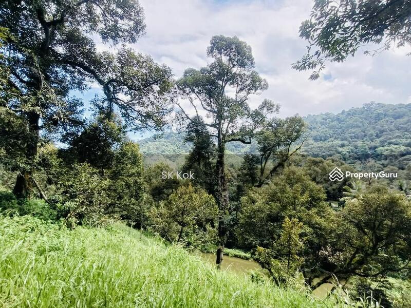 Agricultural Land for Sale in Gopeng (Perak) - SK Kok - PropertyGuru.com.my