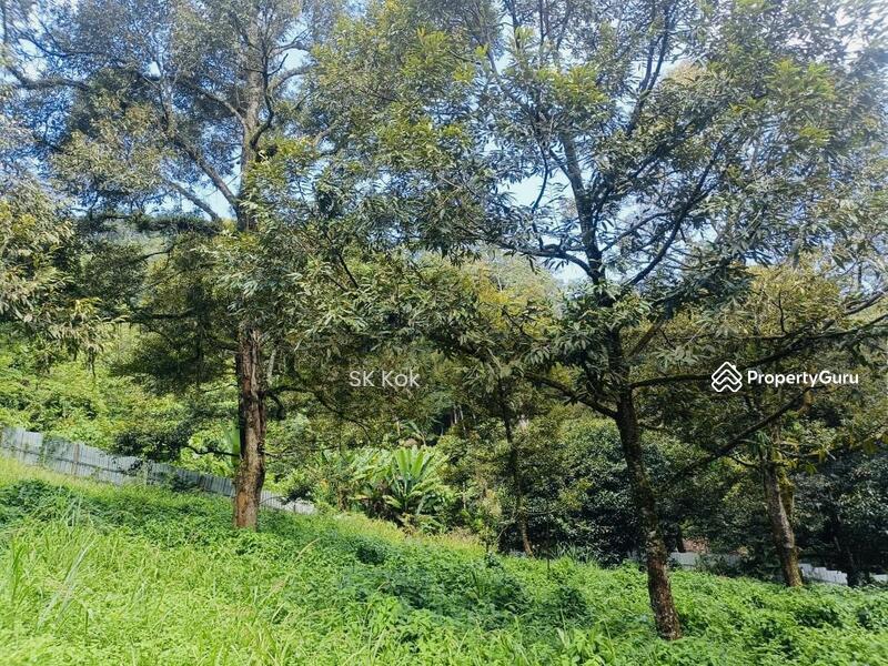 Agricultural Land for Sale in Gopeng (Perak) - SK Kok - PropertyGuru.com.my