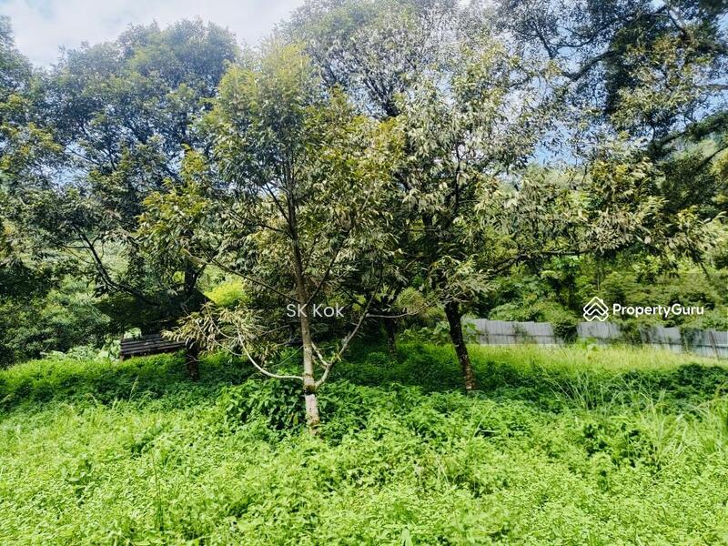 Agricultural Land for Sale in Gopeng (Perak) - SK Kok - PropertyGuru.com.my