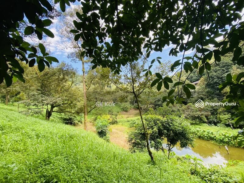 Agricultural Land for Sale in Gopeng (Perak) - SK Kok - PropertyGuru.com.my