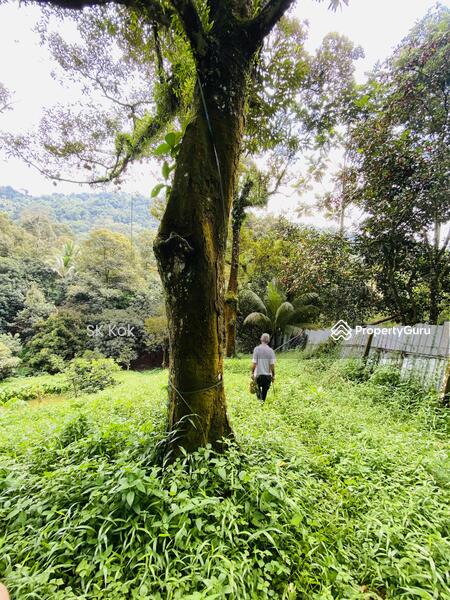 Agricultural Land for Sale in Gopeng (Perak) - SK Kok - PropertyGuru.com.my