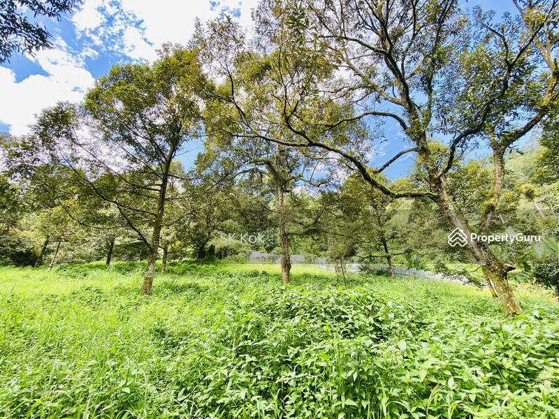 Agricultural Land for Sale in Gopeng (Perak) - SK Kok - PropertyGuru.com.my