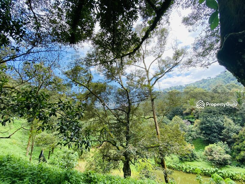 Agricultural Land for Sale in Gopeng (Perak) - SK Kok - PropertyGuru.com.my