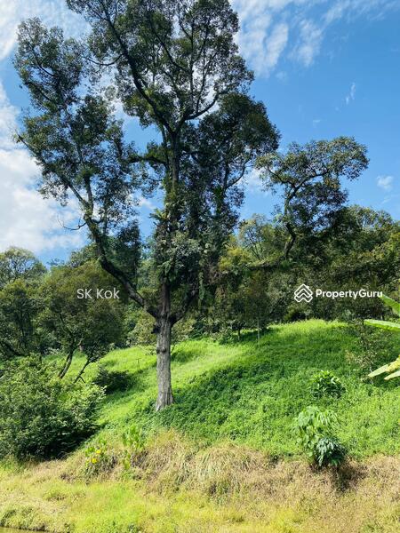 Agricultural Land for Sale in Gopeng (Perak) - SK Kok - PropertyGuru.com.my