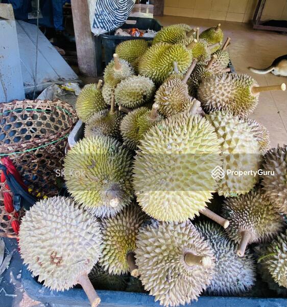 Agricultural Land for Sale in Gopeng (Perak) - SK Kok - PropertyGuru.com.my