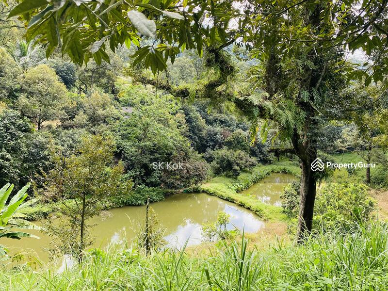 Agricultural Land for Sale in Gopeng (Perak) - SK Kok - PropertyGuru.com.my