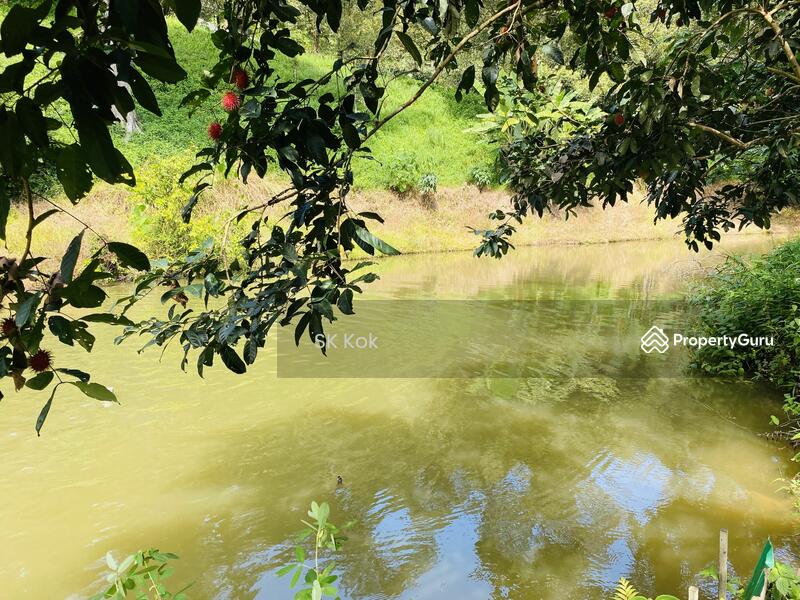 Agricultural Land for Sale in Gopeng (Perak) - SK Kok - PropertyGuru.com.my