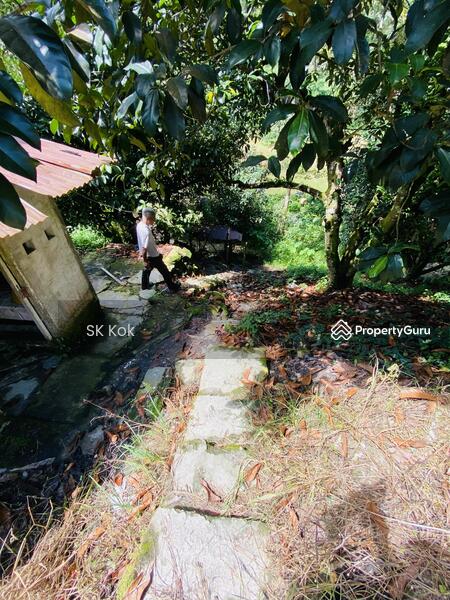 Agricultural Land for Sale in Gopeng (Perak) - SK Kok - PropertyGuru.com.my