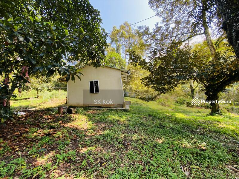 Agricultural Land for Sale in Gopeng (Perak) - SK Kok - PropertyGuru.com.my