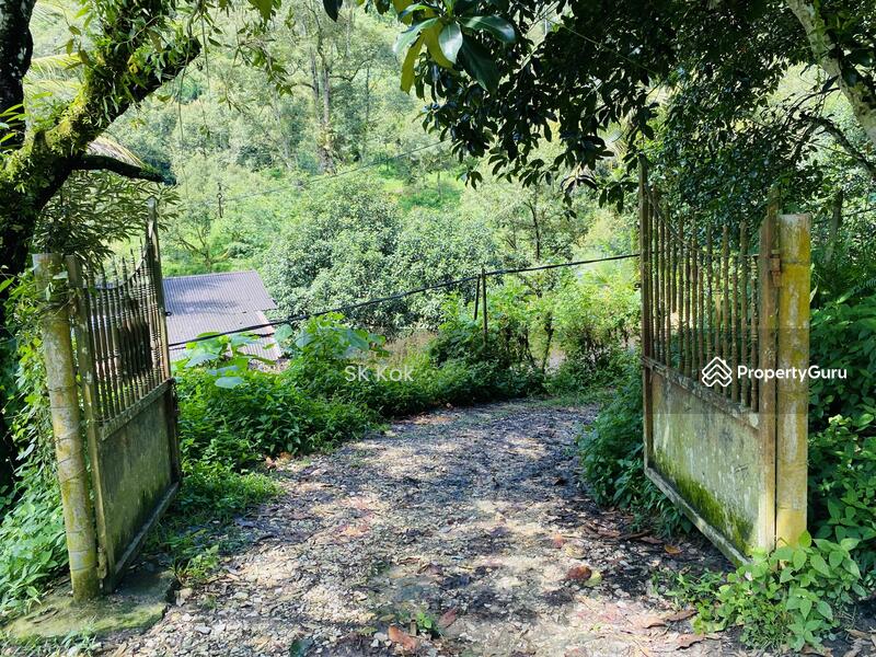 Agricultural Land for Sale in Gopeng (Perak) - SK Kok - PropertyGuru.com.my